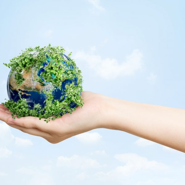 green earth responsible waste disposal
